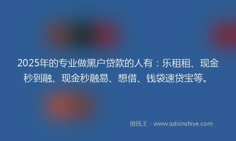 2025年的专业做黑户贷款的人有：乐租租、现金秒到融、现金秒融易、想借、钱袋速贷宝等。