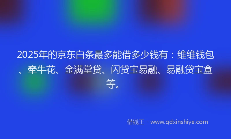 2025年的京东白条最多能借多少钱有：维维钱包、牵牛花、金满堂贷、闪贷宝易融、易融贷宝盒等。