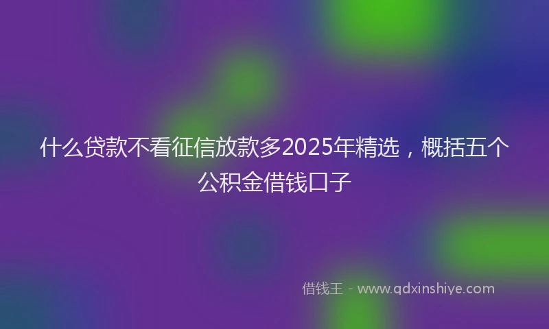 什么贷款不看征信放款多2025年精选，概括五个公积金借钱口子