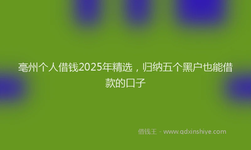 亳州个人借钱2025年精选，归纳五个黑户也能借款的口子