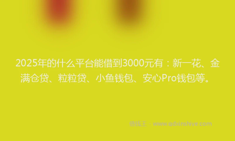 2025年的什么平台能借到3000元有：新一花、金满仓贷、粒粒贷、小鱼钱包、安心Pro钱包等。