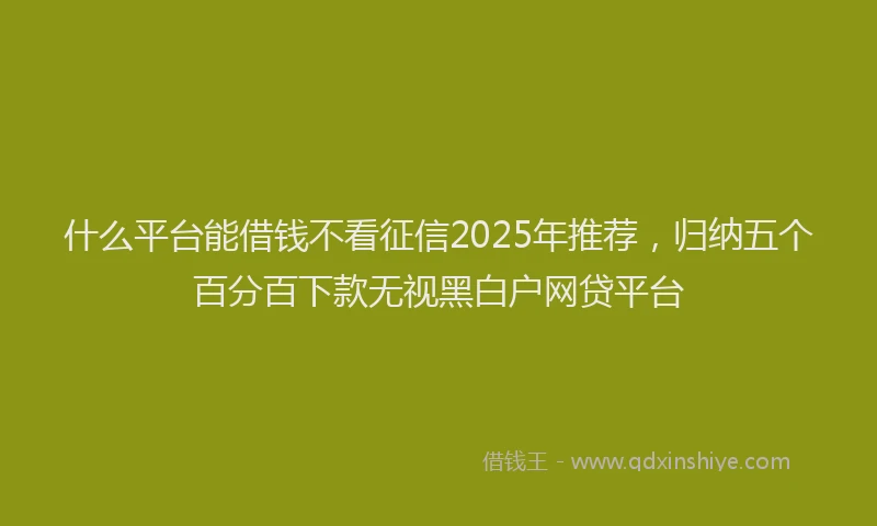 什么平台能借钱不看征信2025年推荐，归纳五个百分百下款无视黑白户网贷平台