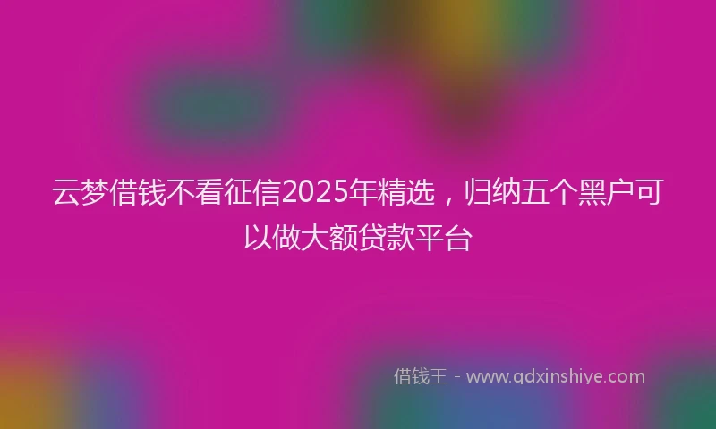 云梦借钱不看征信2025年精选，归纳五个黑户可以做大额贷款平台