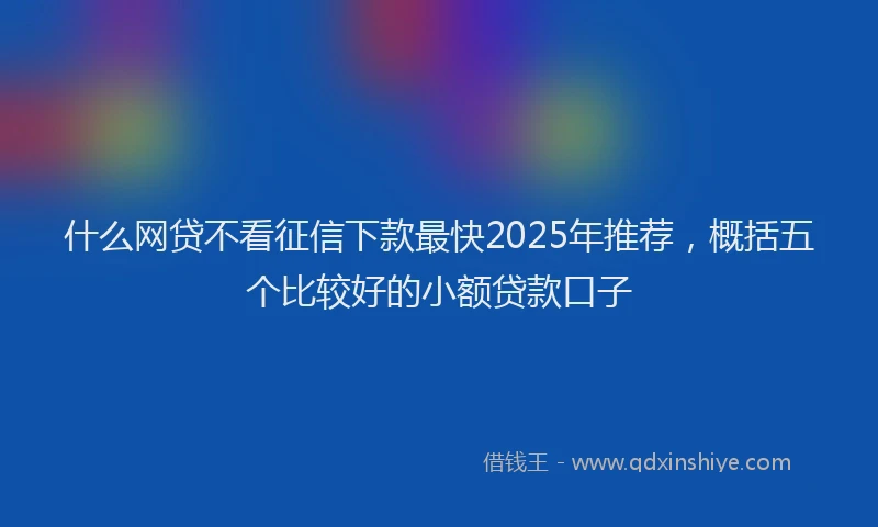 什么网贷不看征信下款最快2025年推荐，概括五个比较好的小额贷款口子