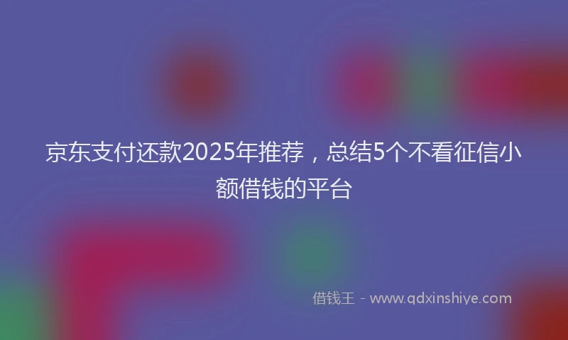 京东支付还款2025年推荐，总结5个不看征信小额借钱的平台
