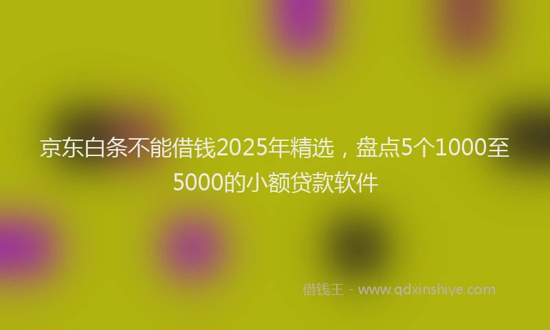 京东白条不能借钱2025年精选，盘点5个1000至5000的小额贷款软件