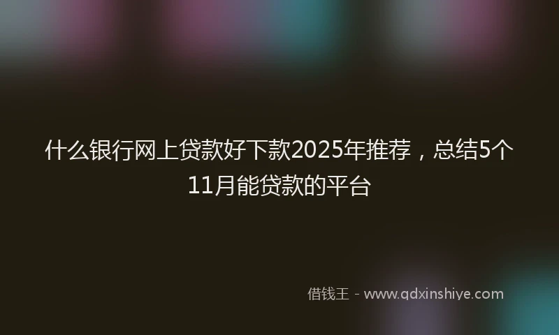 什么银行网上贷款好下款2025年推荐，总结5个11月能贷款的平台