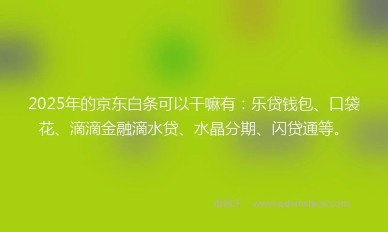 2025年的京东白条可以干嘛有：乐贷钱包、口袋花、滴滴金融滴水贷、水晶分期、闪贷通等。