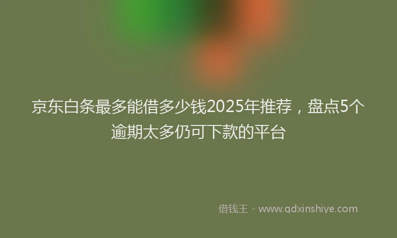 京东白条最多能借多少钱2025年推荐，盘点5个逾期太多仍可下款的平台