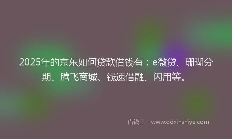 2025年的京东如何贷款借钱有：e微贷、珊瑚分期、腾飞商城、钱速借融、闪用等。