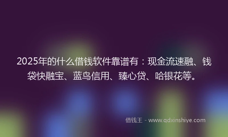 2025年的什么借钱软件靠谱有：现金流速融、钱袋快融宝、蓝鸟信用、臻心贷、哈银花等。