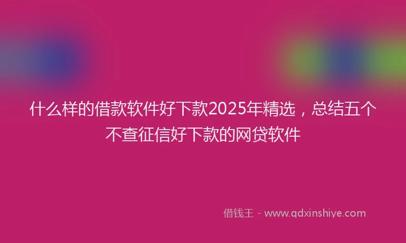什么样的借款软件好下款2025年精选，总结五个不查征信好下款的网贷软件