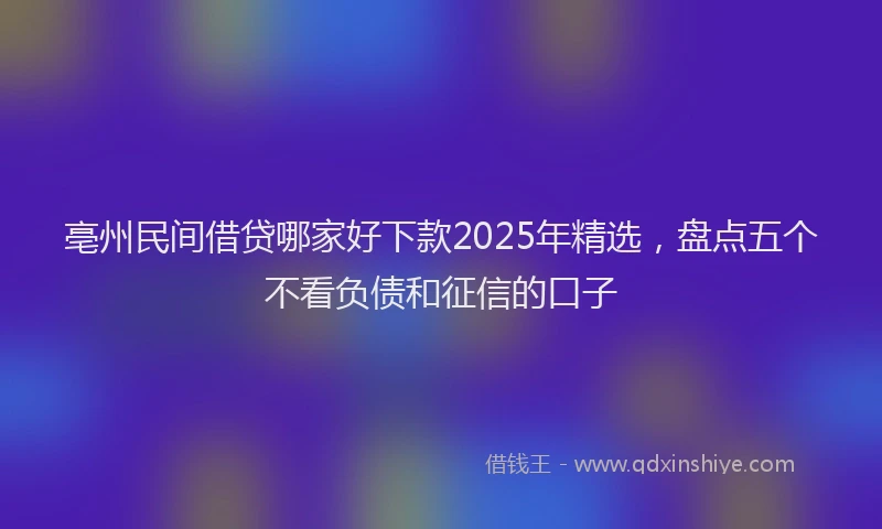 亳州民间借贷哪家好下款2025年精选，盘点五个不看负债和征信的口子
