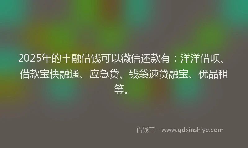 2025年的丰融借钱可以微信还款有：洋洋借呗、借款宝快融通、应急贷、钱袋速贷融宝、优品租等。