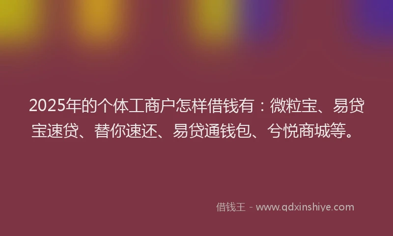 2025年的个体工商户怎样借钱有：微粒宝、易贷宝速贷、替你速还、易贷通钱包、兮悦商城等。