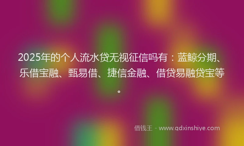 2025年的个人流水贷无视征信吗有：蓝鲸分期、乐借宝融、甄易借、捷信金融、借贷易融贷宝等。