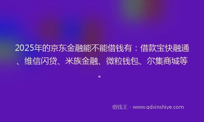 2025年的京东金融能不能借钱有：借款宝快融通、维信闪贷、米族金融、微粒钱包、尔集商城等。