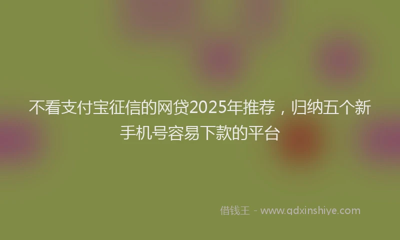 不看支付宝征信的网贷2025年推荐，归纳五个新手机号容易下款的平台