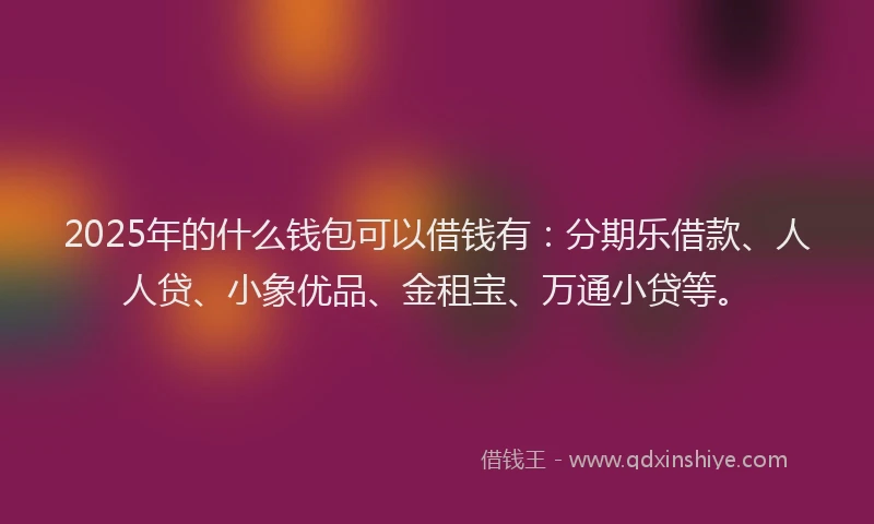 2025年的什么钱包可以借钱有：分期乐借款、人人贷、小象优品、金租宝、万通小贷等。