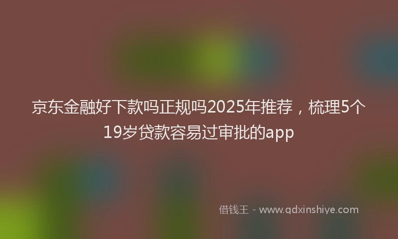 京东金融好下款吗正规吗2025年推荐，梳理5个19岁贷款容易过审批的app
