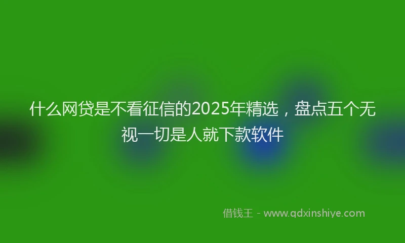 什么网贷是不看征信的2025年精选，盘点五个无视一切是人就下款软件