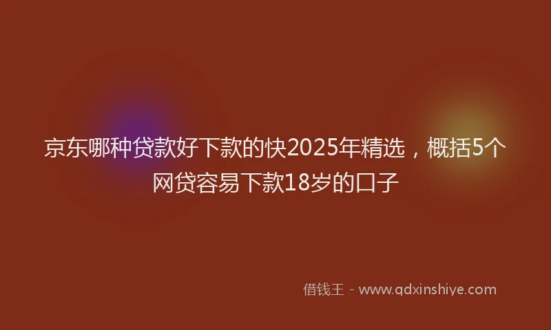 京东哪种贷款好下款的快2025年精选，概括5个网贷容易下款18岁的口子