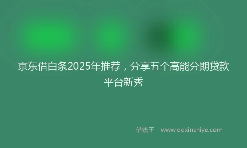 京东借白条2025年推荐，分享五个高能分期贷款平台新秀
