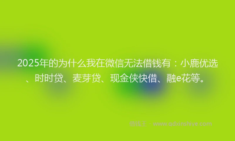 2025年的为什么我在微信无法借钱有：小鹿优选、时时贷、麦芽贷、现金侠快借、融e花等。