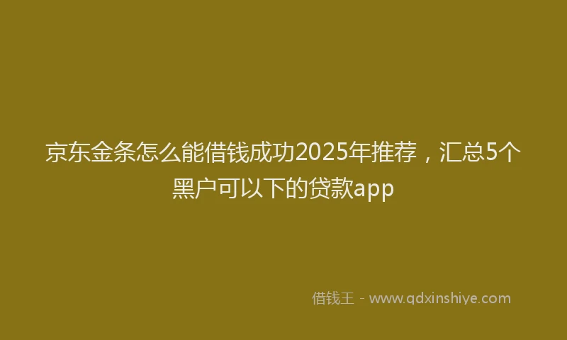 京东金条怎么能借钱成功2025年推荐，汇总5个黑户可以下的贷款app