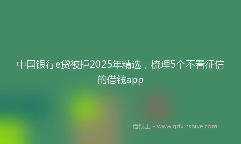 中国银行e贷被拒2025年精选，梳理5个不看征信的借钱app