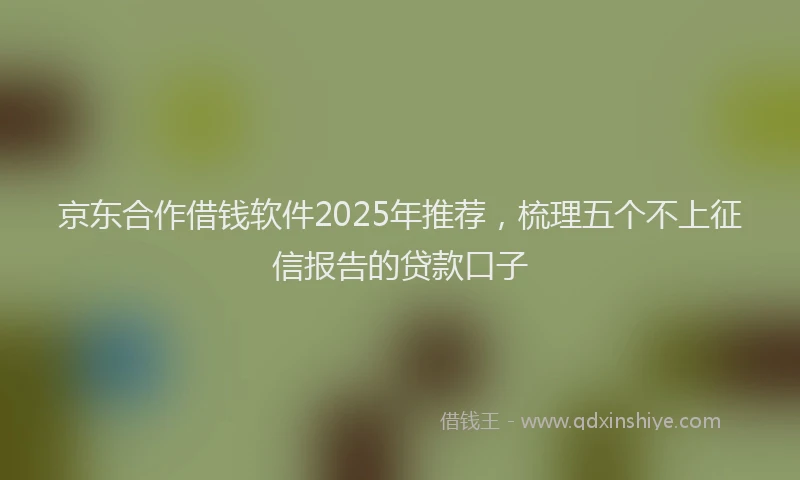 京东合作借钱软件2025年推荐，梳理五个不上征信报告的贷款口子