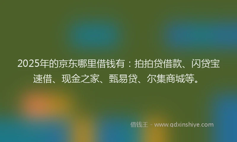 2025年的京东哪里借钱有：拍拍贷借款、闪贷宝速借、现金之家、甄易贷、尔集商城等。