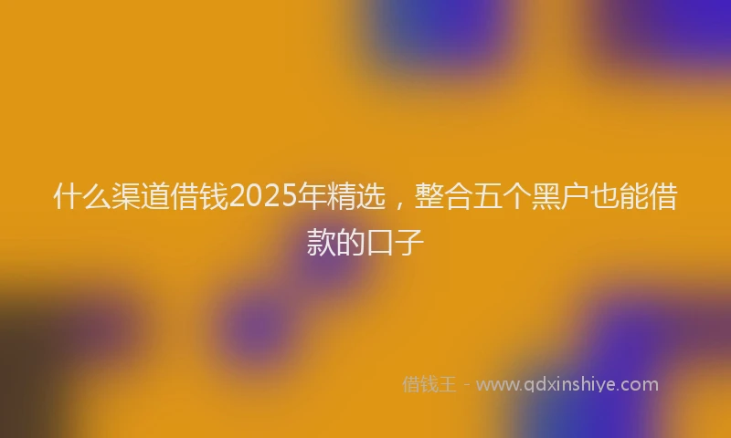 什么渠道借钱2025年精选，整合五个黑户也能借款的口子