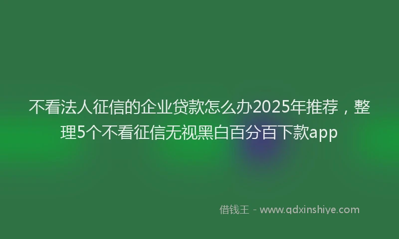 不看法人征信的企业贷款怎么办2025年推荐，整理5个不看征信无视黑白百分百下款app
