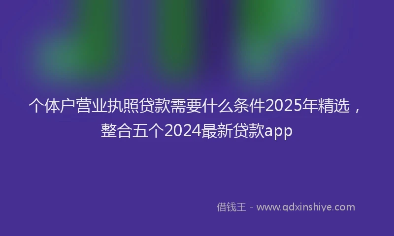 个体户营业执照贷款需要什么条件2025年精选，整合五个2024最新贷款app
