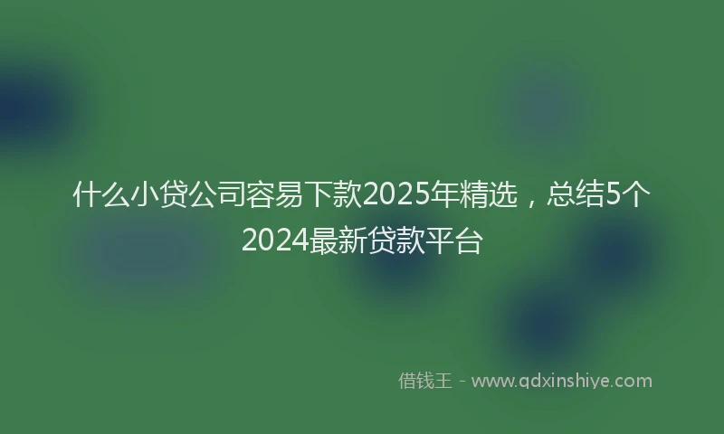什么小贷公司容易下款2025年精选，总结5个2024最新贷款平台