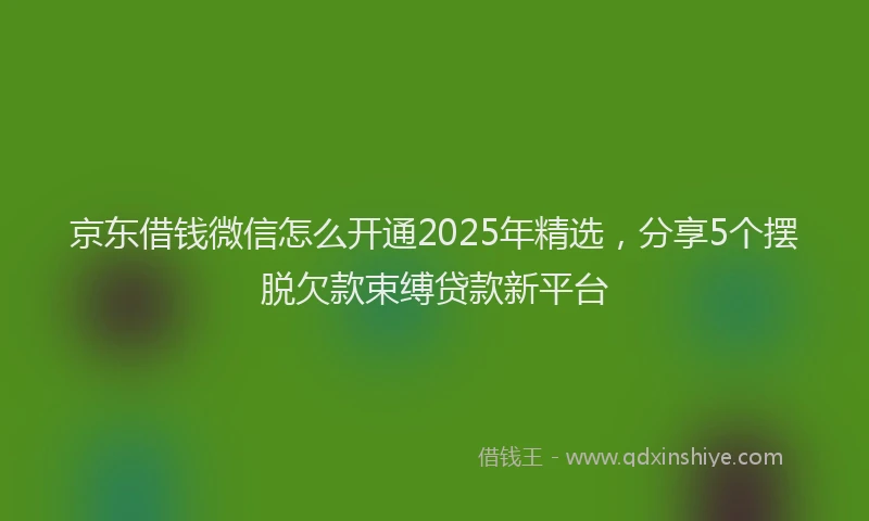 京东借钱微信怎么开通2025年精选，分享5个摆脱欠款束缚贷款新平台