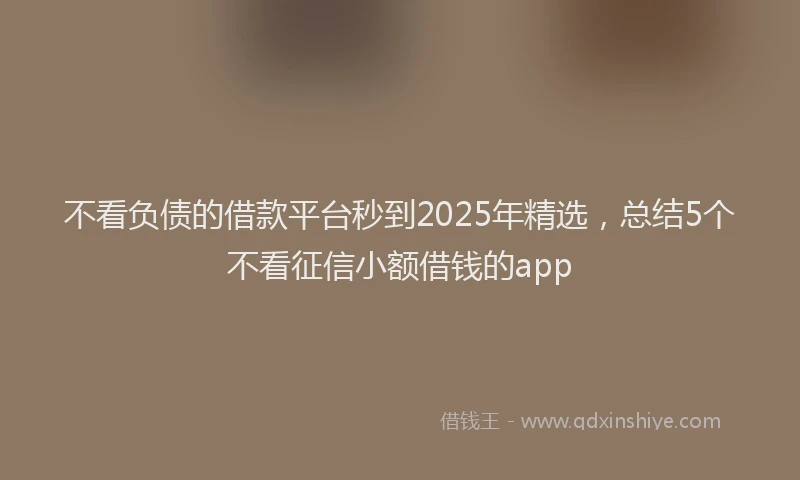 不看负债的借款平台秒到2025年精选，总结5个不看征信小额借钱的app