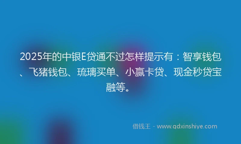 2025年的中银E贷通不过怎样提示有：智享钱包、飞猪钱包、琉璃买单、小赢卡贷、现金秒贷宝融等。