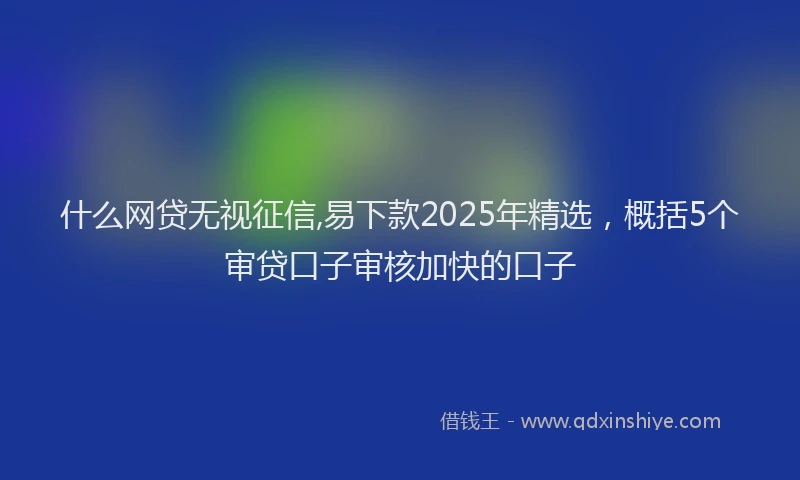 什么网贷无视征信,易下款2025年精选，概括5个审贷口子审核加快的口子