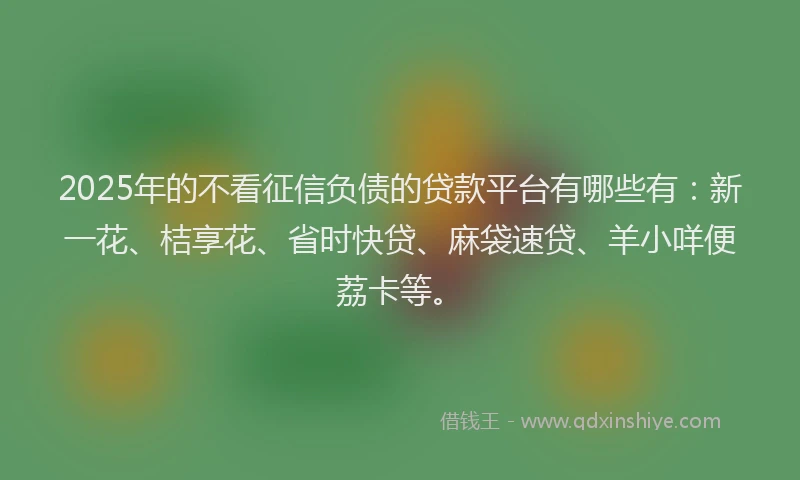 2025年的不看征信负债的贷款平台有哪些有：新一花、桔享花、省时快贷、麻袋速贷、羊小咩便荔卡等。