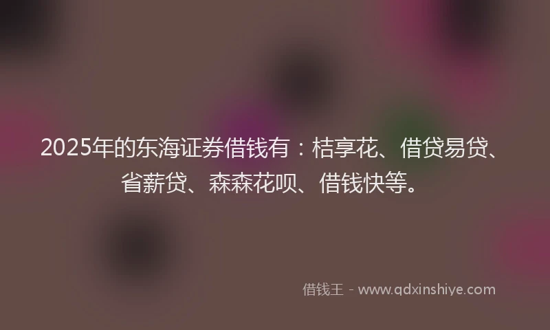 2025年的东海证券借钱有：桔享花、借贷易贷、省薪贷、森森花呗、借钱快等。