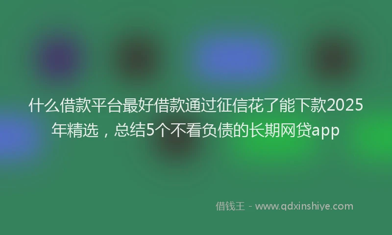 什么借款平台最好借款通过征信花了能下款2025年精选，总结5个不看负债的长期网贷app