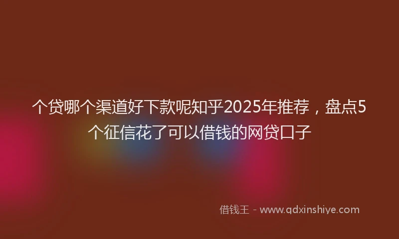 个贷哪个渠道好下款呢知乎2025年推荐，盘点5个征信花了可以借钱的网贷口子