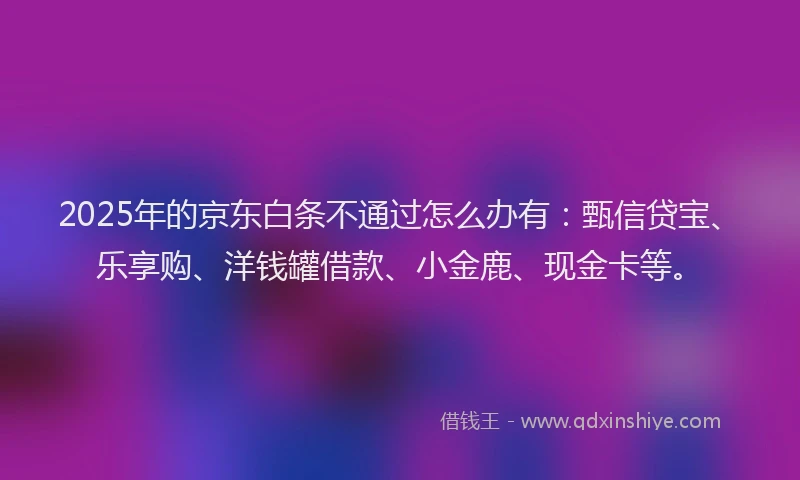 2025年的京东白条不通过怎么办有：甄信贷宝、乐享购、洋钱罐借款、小金鹿、现金卡等。