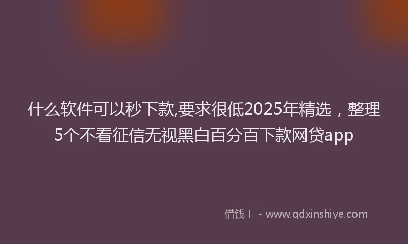 什么软件可以秒下款,要求很低2025年精选，整理5个不看征信无视黑白百分百下款网贷app