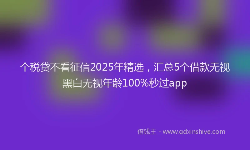 个税贷不看征信2025年精选，汇总5个借款无视黑白无视年龄100%秒过app