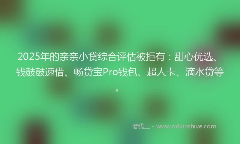 2025年的亲亲小贷综合评估被拒有：甜心优选、钱鼓鼓速借、畅贷宝Pro钱包、超人卡、滴水贷等。