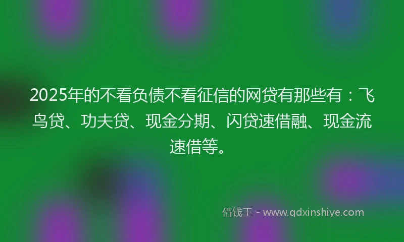 2025年的不看负债不看征信的网贷有那些有：飞鸟贷、功夫贷、现金分期、闪贷速借融、现金流速借等。