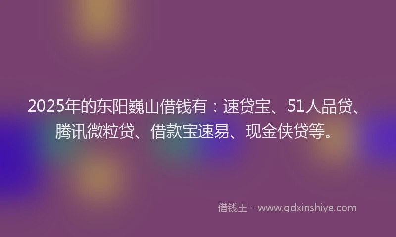 2025年的东阳巍山借钱有：速贷宝、51人品贷、腾讯微粒贷、借款宝速易、现金侠贷等。